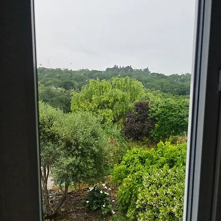 Gayrimont, La Des Lavandes *